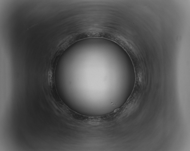 X0000101660964200807171310