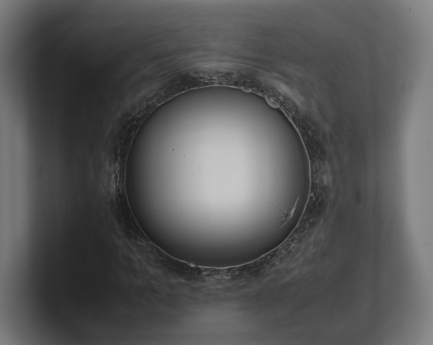 X0000101660965200807171310