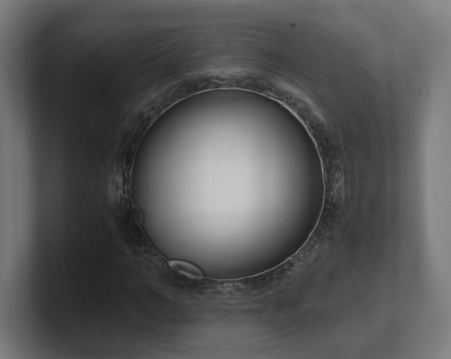 X0000101660966200807171310