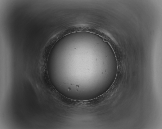 X0000101660967200807171310