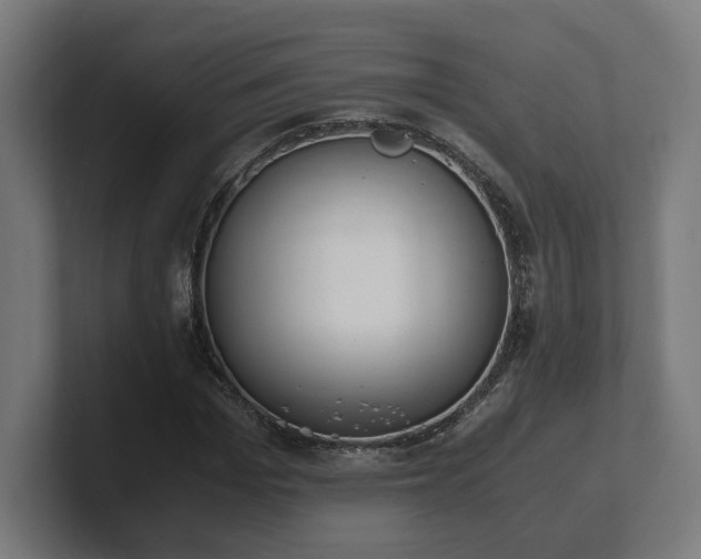 X0000101660969200807171310