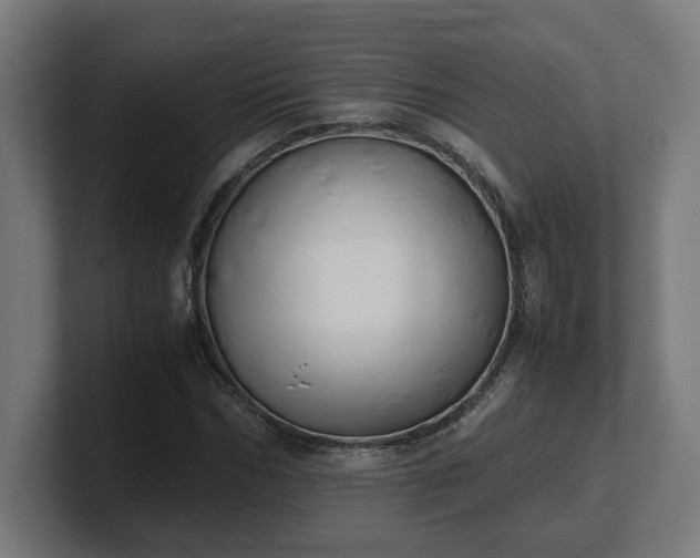 X0000101660970200807171310