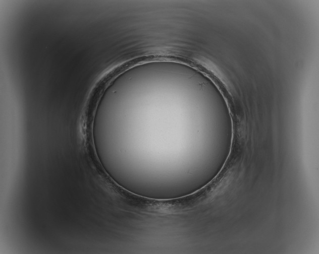 X0000101660971200807171310