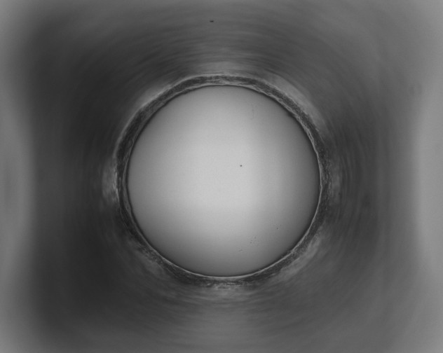 X0000101660974200807171310