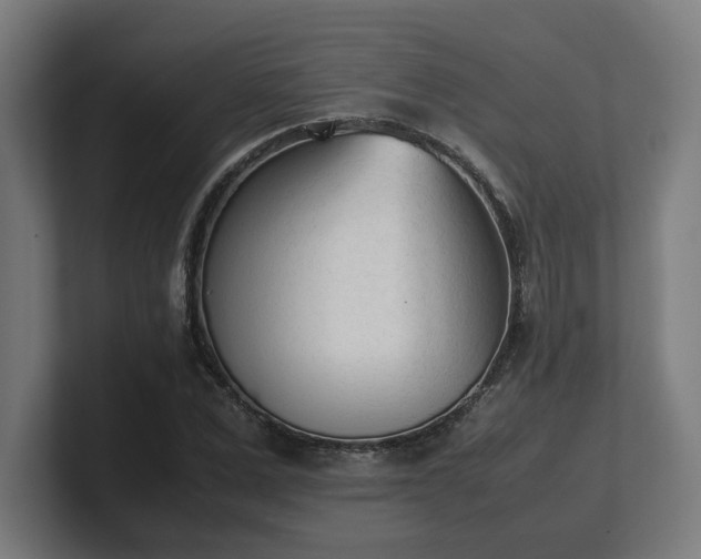 X0000101660975200807171310