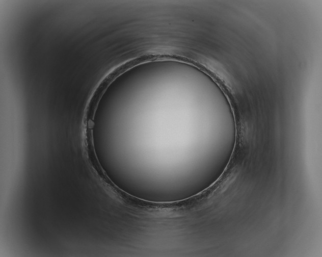 X0000101660976200807171310