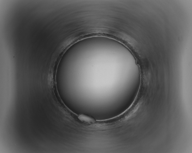 X0000101660977200807171310