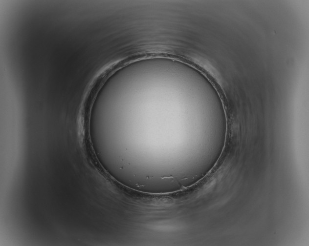 X0000101660979200807171310