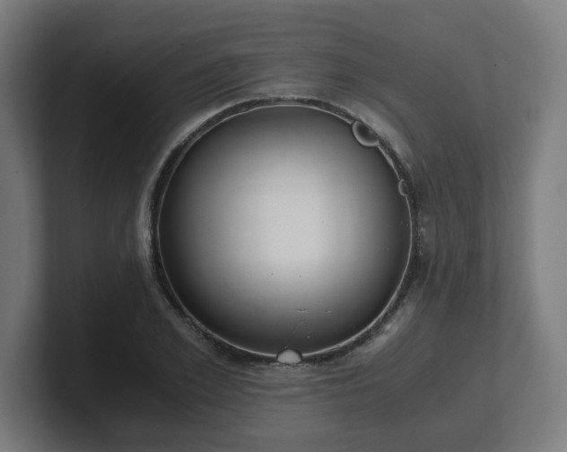 X0000101660981200807171310