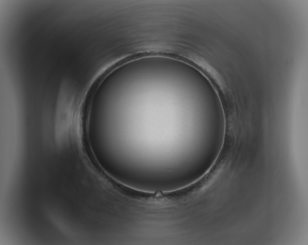 X0000101660983200807171310