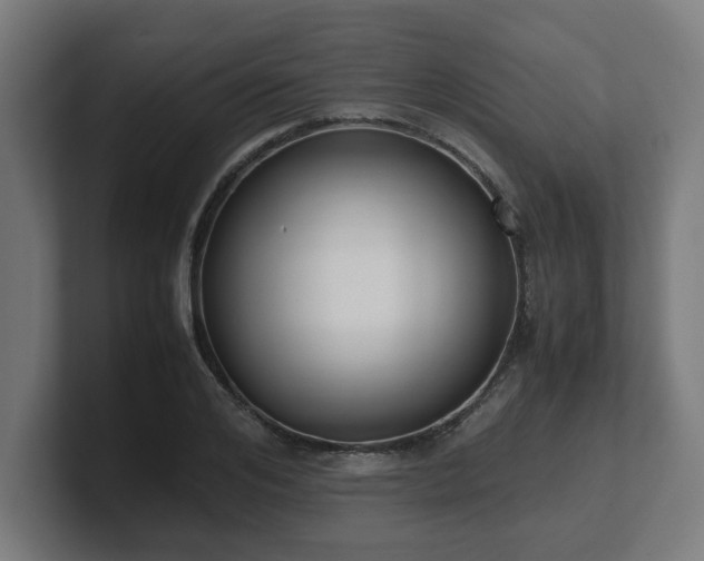 X0000101660984200807171310