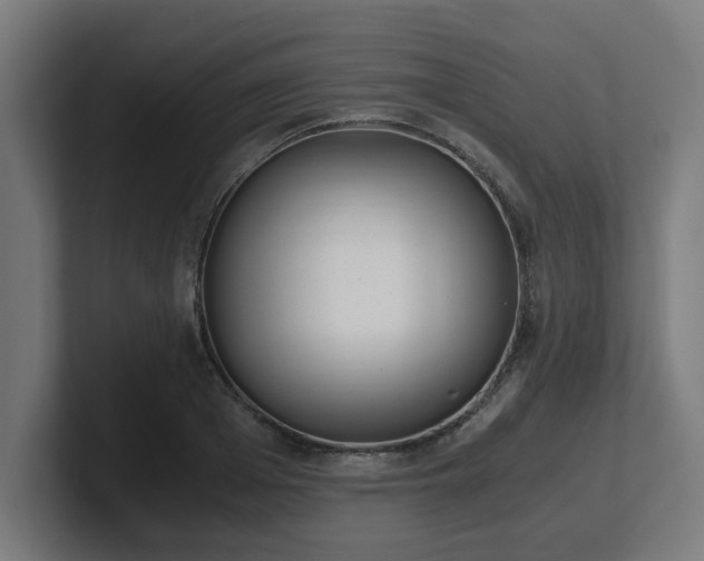 X0000101660985200807171310