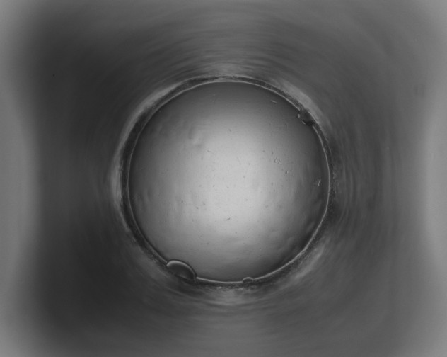 X0000101660987200807171310