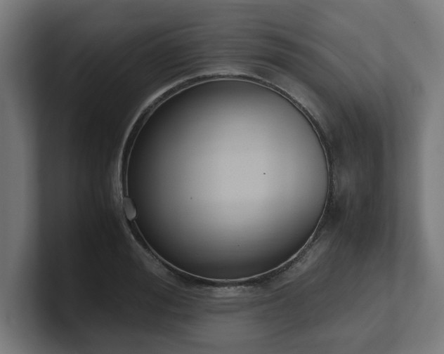 X0000101660988200807171310