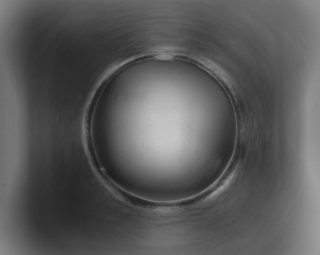 X0000101660989200807171310