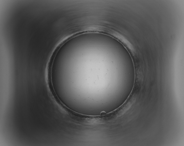 X0000101660991200807171310