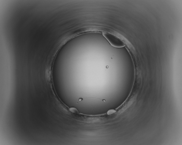 X0000101660993200807171310