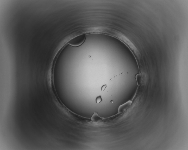 X0000101660994200807171310