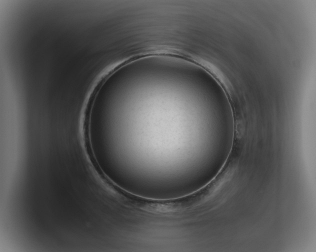 X0000101660995200807171310