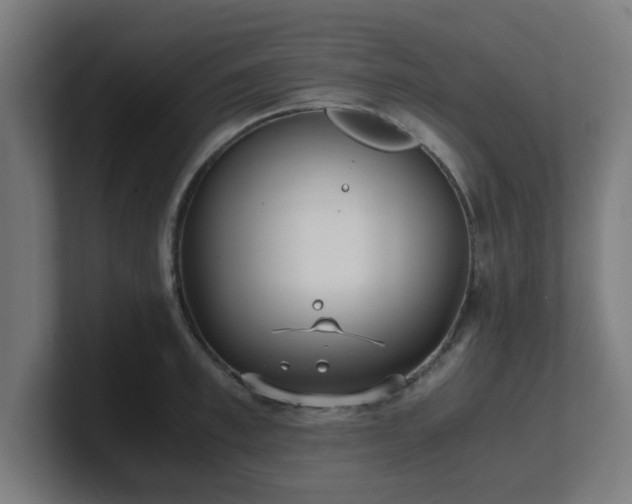 X0000101660997200807171310