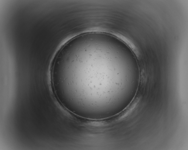 X0000101660998200807171310