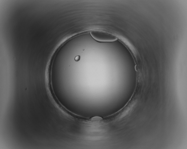 X0000101660999200807171310