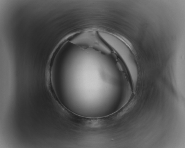 X0000101661000200807171310