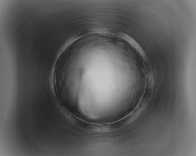 X0000101661002200807171310