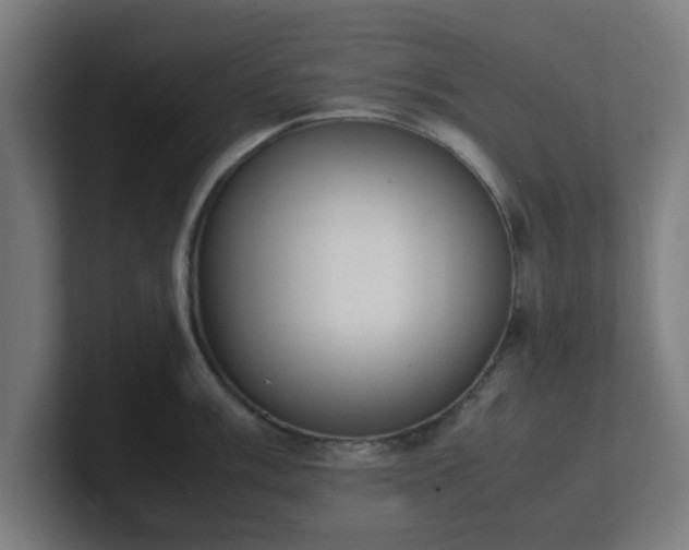 X0000101661003200807171310