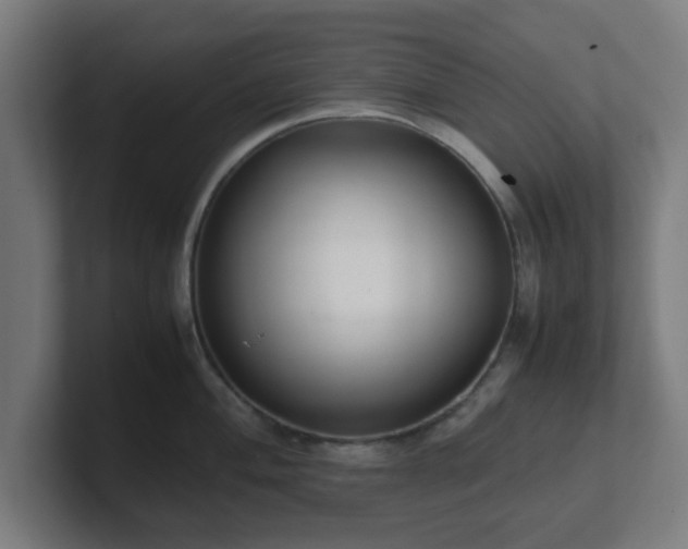 X0000101661004200807171310