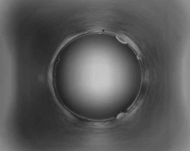 X0000101661005200807171310