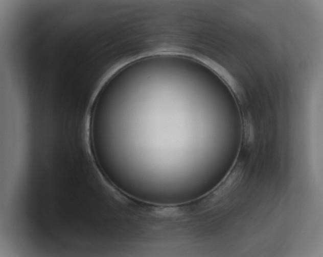 X0000101661006200807171310