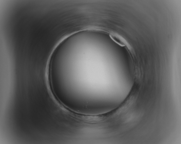 X0000101661007200807171310