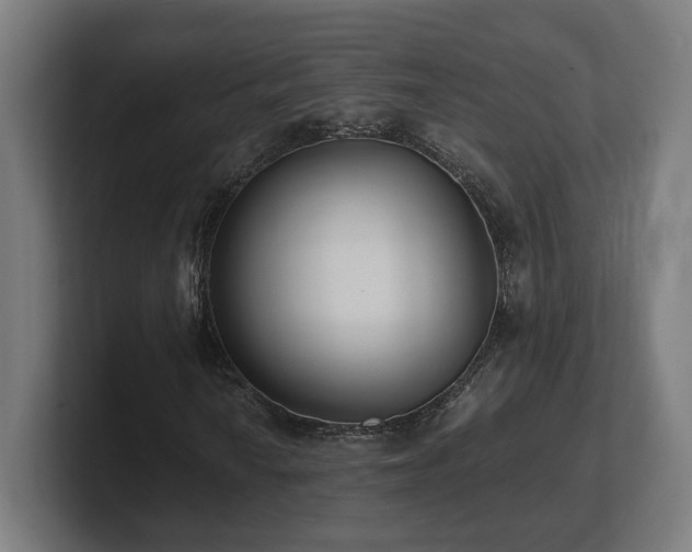 X0000101661010200807171309