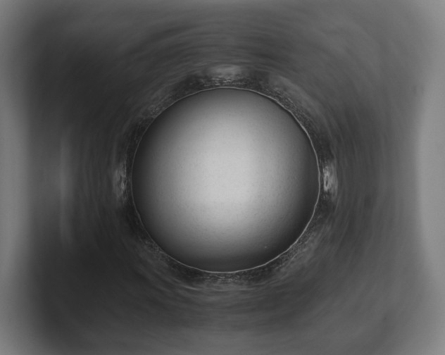 X0000101661011200807171309