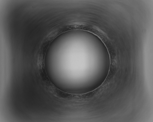 X0000101661014200807171309