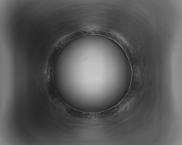 X0000101661016200807171309