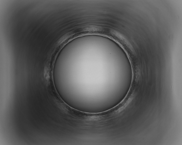 X0000101661017200807171309