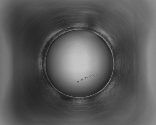 X0000101661019200807171309