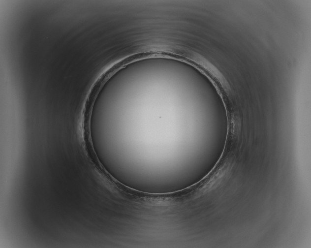 X0000101661020200807171309