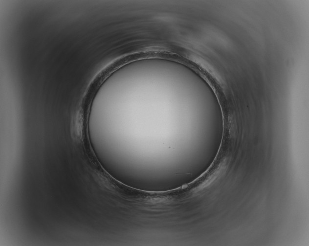 X0000101661021200807171309