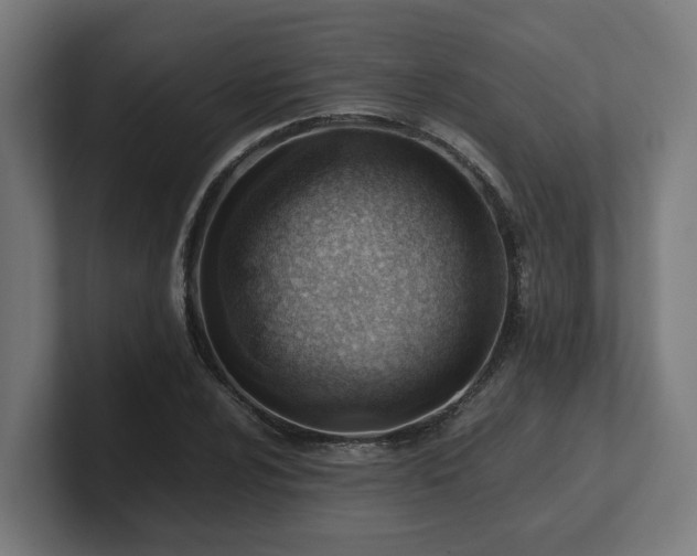 X0000101661024200807171309