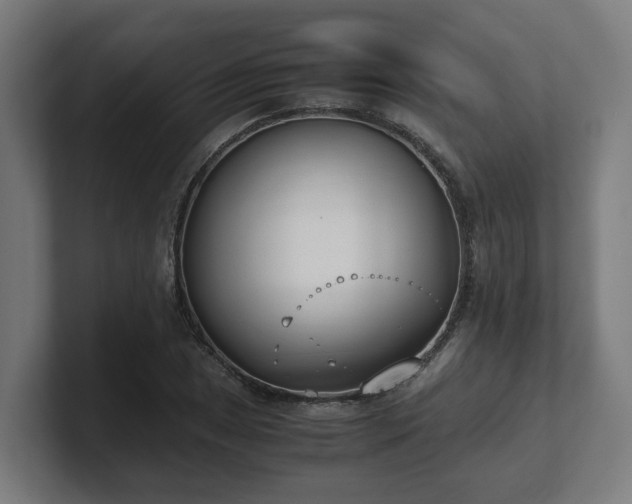 X0000101661025200807171309