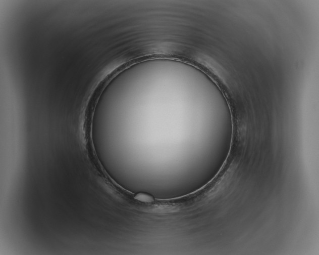 X0000101661026200807171309