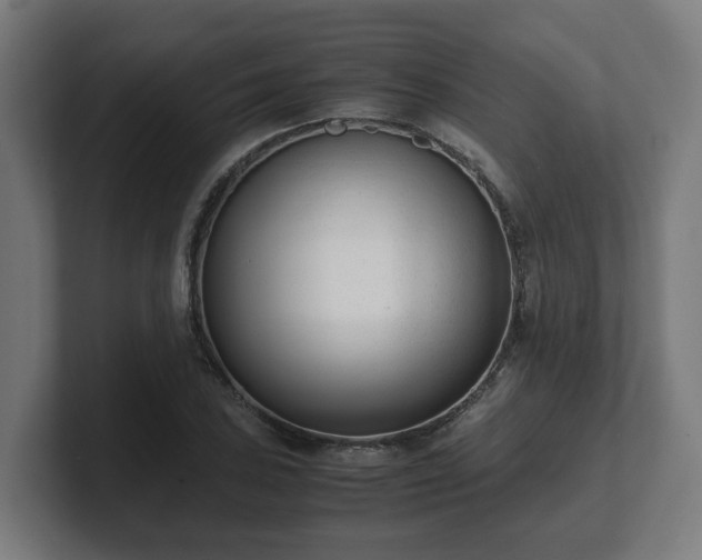 X0000101661027200807171309