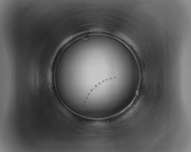 X0000101661029200807171309