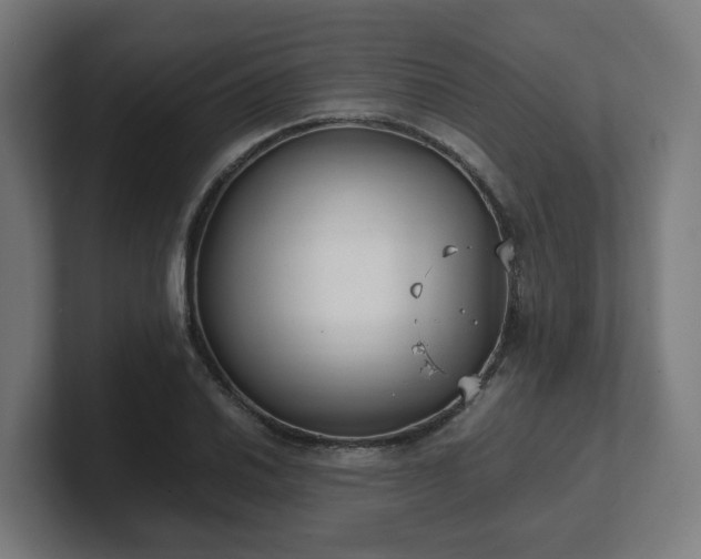 X0000101661030200807171309