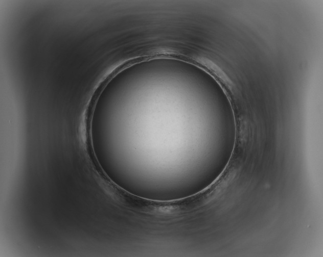 X0000101661031200807171309