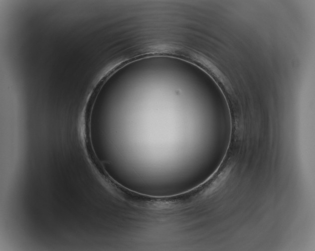 X0000101661034200807171309