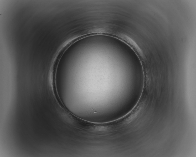 X0000101661035200807171309